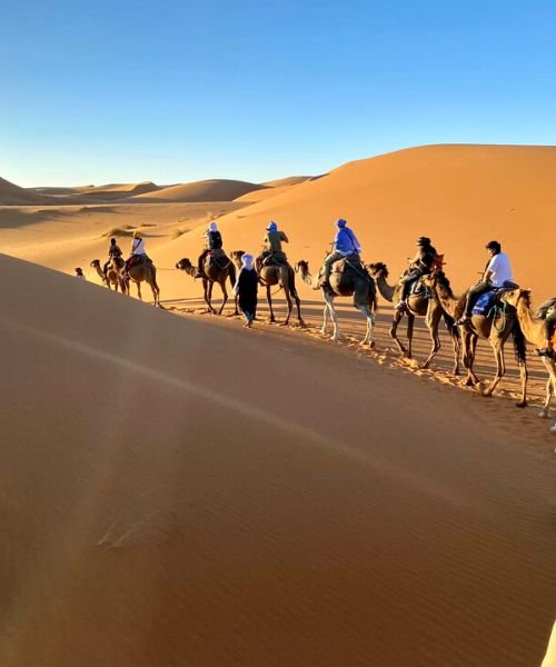 custom tours of morocco