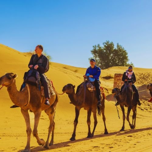 3-day Marrakech to Fes desert tour